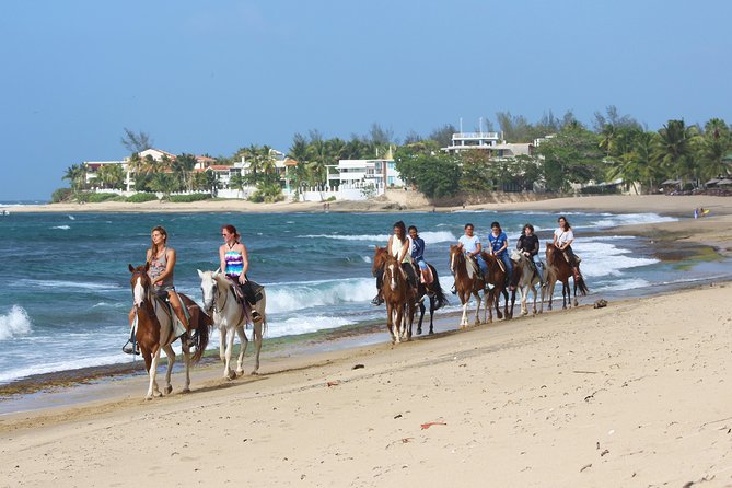 Horseback Riding through Secluded Beaches and Tropical Forests - What to wear and bring for a comfortable ride
