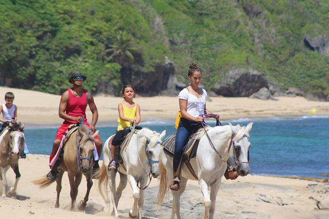 Horseback Riding through Secluded Beaches and Tropical Forests - Is $106.95 a fair price?