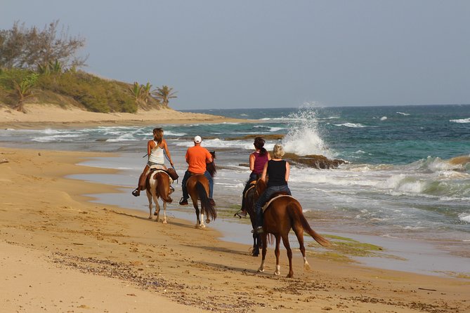 Horseback Riding through Secluded Beaches and Tropical Forests - Through the forest, trees, and coastal paths