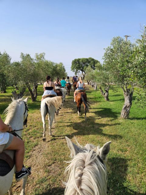 Horseback Riding Through The Beach GROUP - PDT - Who may want a different horseback experience