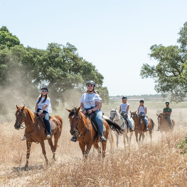 Horseback Riding Through The Beach GROUP - PDT - What the group size changes