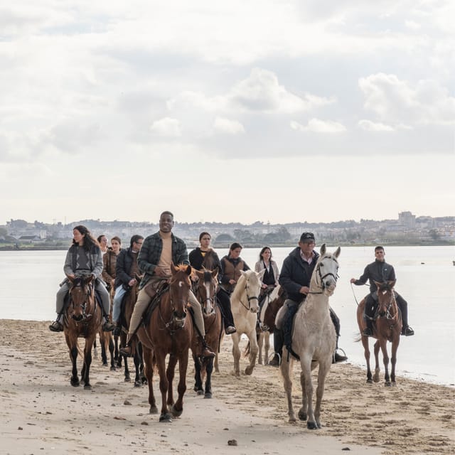 Horseback Riding Through The Beach GROUP - PDT - Why the horses matter more than speed