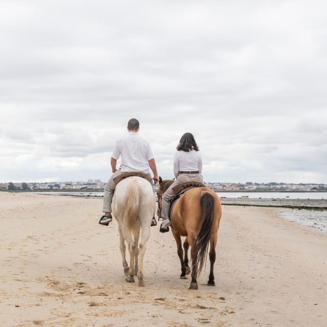 Horseback Riding Through The Beach GROUP - PDT - Price, timing, and practical value