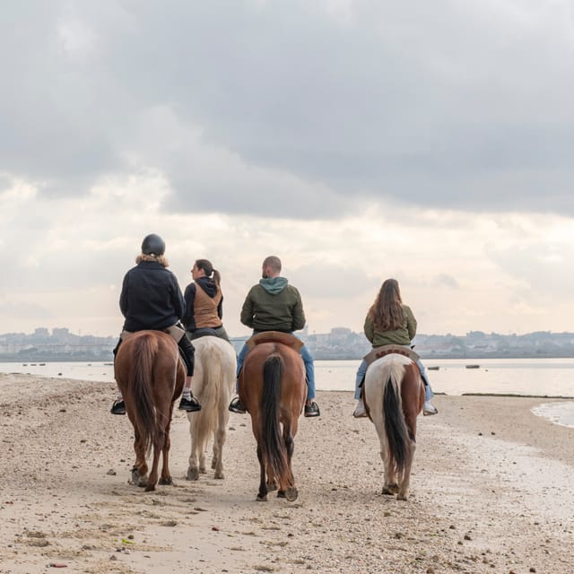 Horseback Riding Through The Beach GROUP - PDT - Who should book this ride