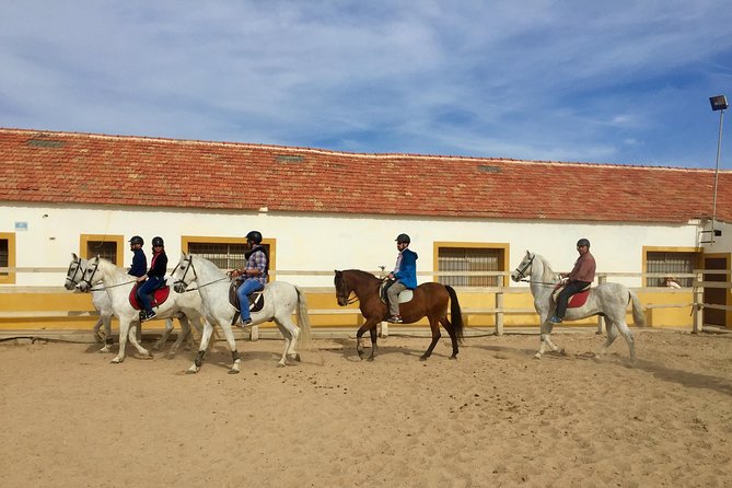 Horseback riding through the Calblanque Natural Park - Key points to know before booking