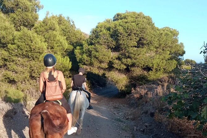 Horseback riding through the Calblanque Natural Park - Along paths lined with pines, carob, and fig trees
