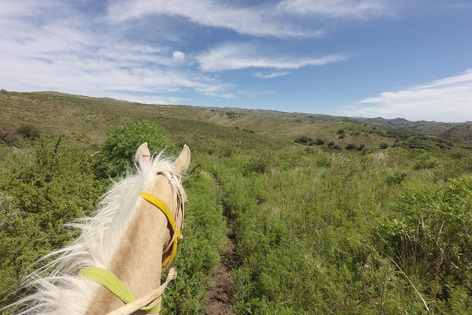 Horseback riding through the Sierras - A full day in the Sierras, not just a trail ride