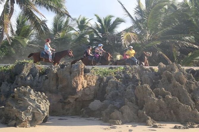 Horseback Riding to Maimon River from Punta Cana - Reaching the Maimon River Mouth