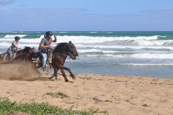 Horseback Riding to Maimon River from Punta Cana - Riding Through Forest and Protected Areas