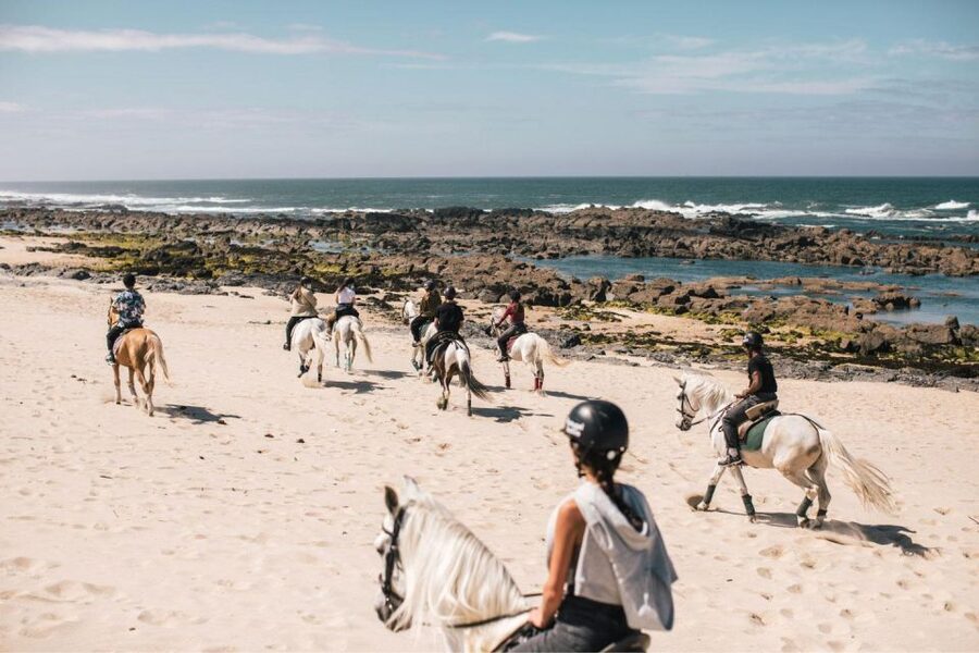 Horseback Riding Tour - Who should choose another activity
