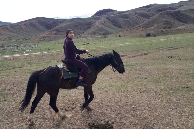 Horseback Riding Tour - Beach riding, bathing rules, and route changes