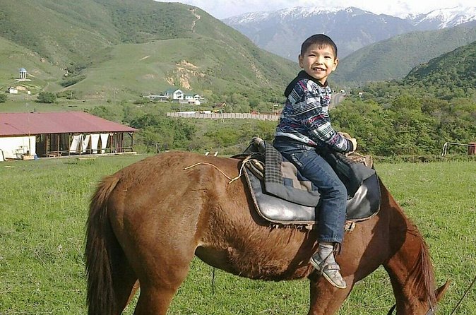 Horseback Riding Tour - Horse welfare and stable conditions