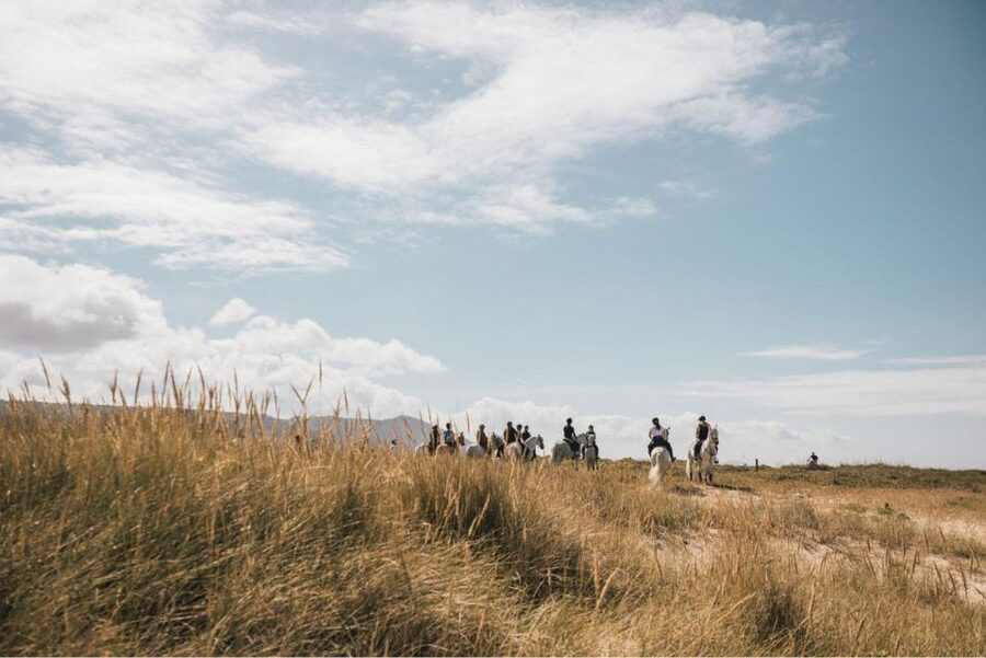 Horseback Riding Tour - Who will enjoy this ride most