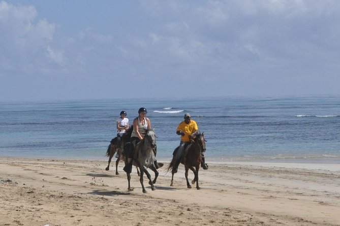 Horseback Riding Tour Adventure on the Beach - What the inland trails are really like