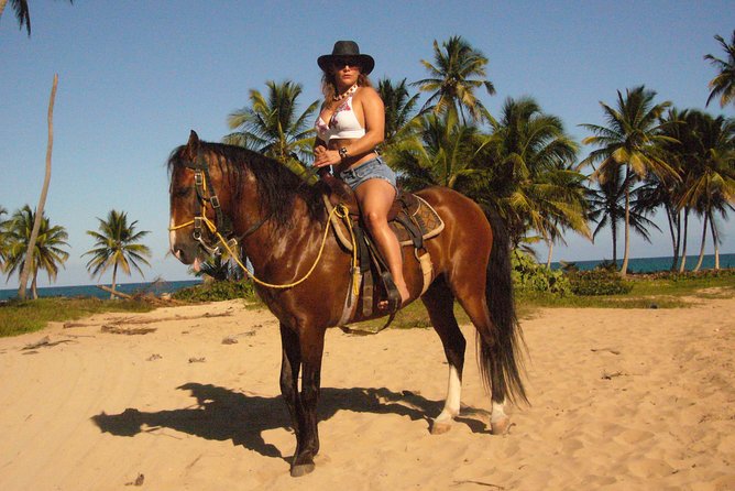 Horseback Riding Tour Adventure on the Beach - How much value do you get for $99?