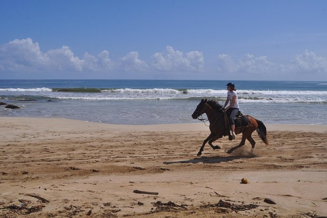 Horseback Riding Tour Adventure on the Beach - Who will enjoy this ride most