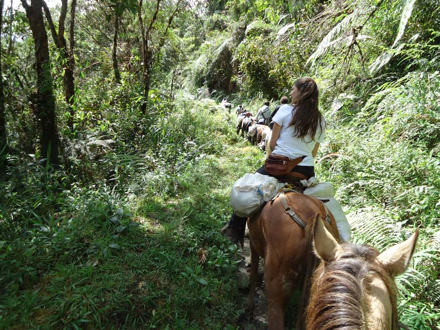 Horseback Riding Tour and visit to Tablón, Chaquira, Pelota - Riding from San Agustín into the statue country