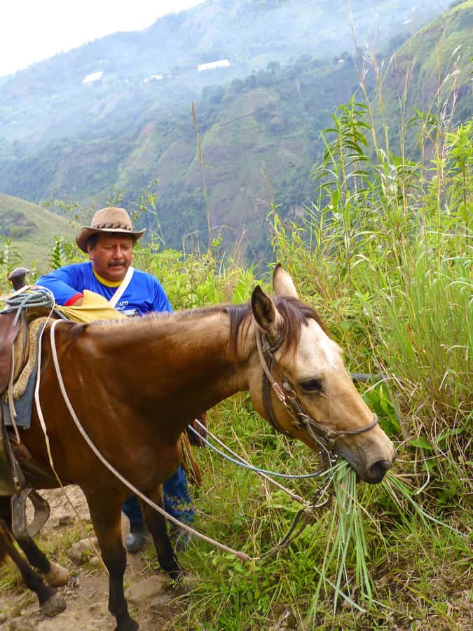 Horseback Riding Tour and visit to Tablón, Chaquira, Pelota - La Chaquira and its wide valley views