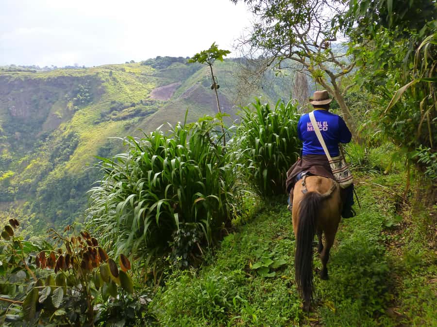 Horseback Riding Tour and visit to Tablón, Chaquira, Pelota - Why the horseback format works here