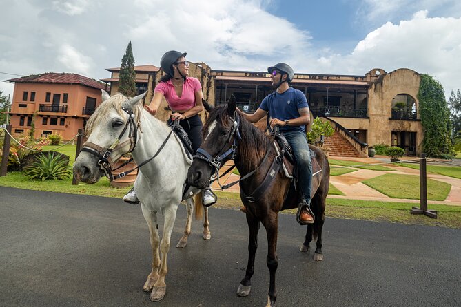 Horseback Riding Tour at Private Ranch - Choosing a Paso Fino horse
