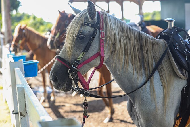 Horseback Riding Tour at Private Ranch - Riding the ranch trails
