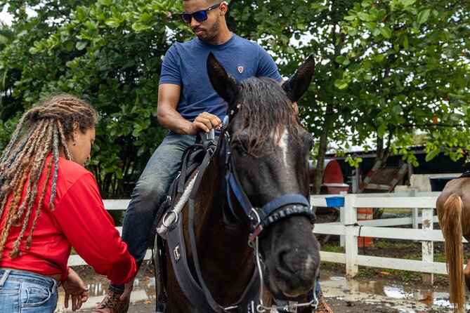 Horseback Riding Tour at Private Ranch - What you learn about nature and Paso Fino horses