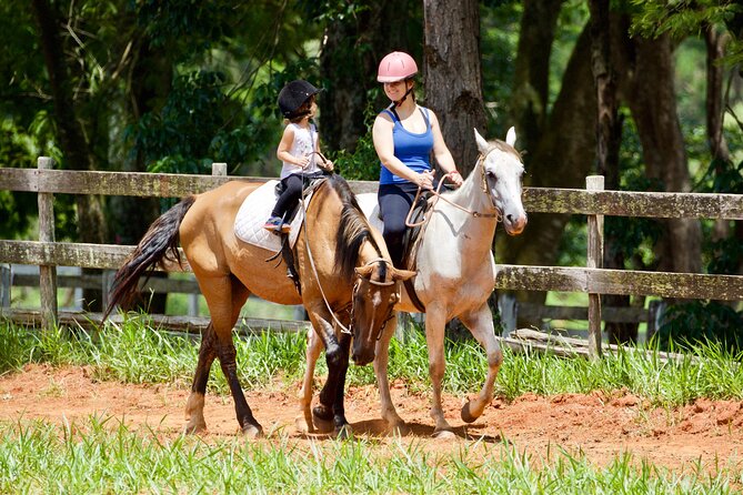 Horseback Riding Tour in Bohemian Switzerland - Who will enjoy this horseback tour most
