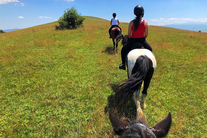 Horseback Riding Tour In Brasov - Ride Through Fields, Forests & Hills - Meeting Friesians and Andalusians After the Ride