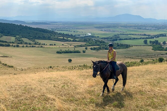 Horseback Riding Tour In Brasov - Ride Through Fields, Forests & Hills - Lunch, Extra Riding, and the Real Cost