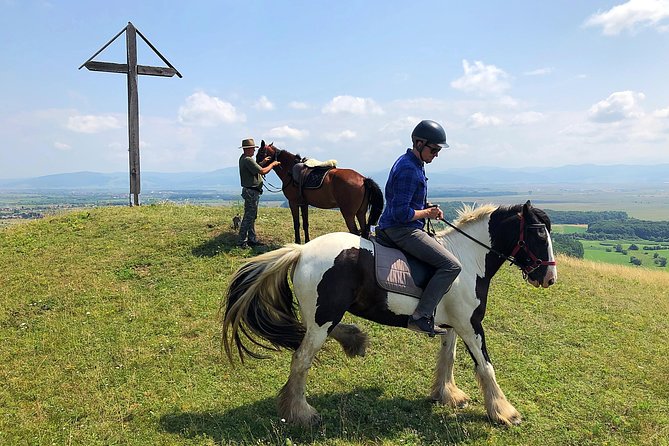 Horseback Riding Tour In Brasov - Ride Through Fields, Forests & Hills - Who Will Enjoy This Brasov Horse Ride?