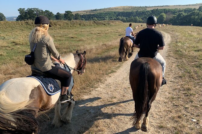 Horseback Riding Tour In Brasov - Ride Through Fields, Forests & Hills - Practical Details That Make the Day Easier