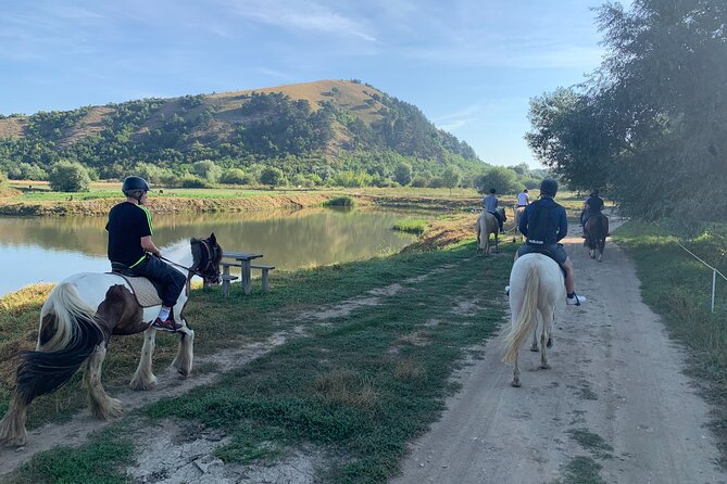 Horseback Riding Tour In Brasov - Ride Through Fields, Forests & Hills - One Hour Through Fields, Forests, and Wooded Paths
