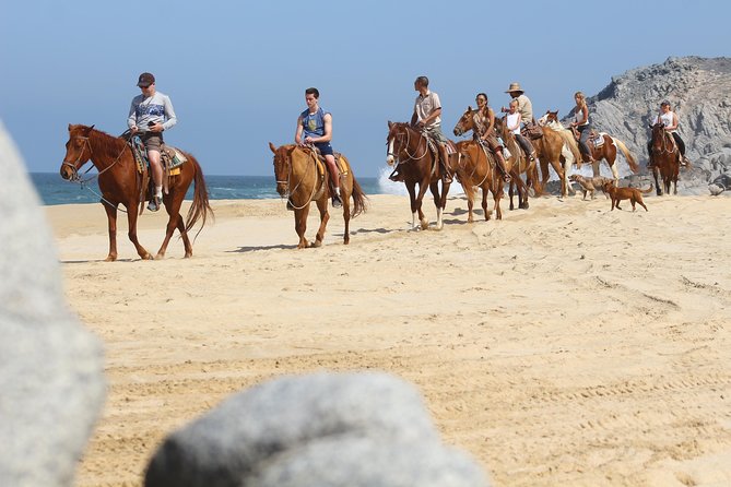 Horseback Riding Tour in Cabo San Lucas - Key points to know before booking
