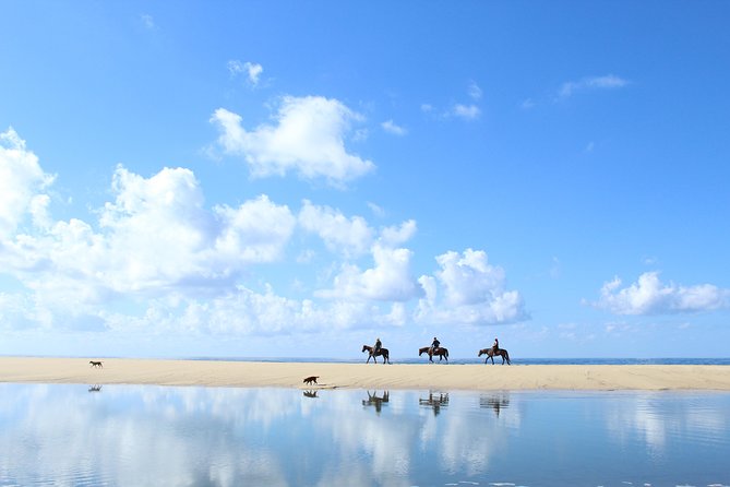Horseback Riding Tour in Cabo San Lucas - From Cabo’s hotels to a Baja ranch