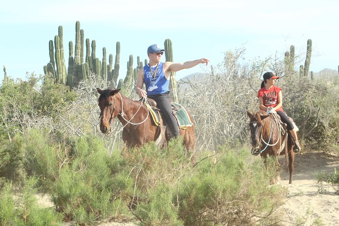 Horseback Riding Tour in Cabo San Lucas - Photos, water, and the extra park fee