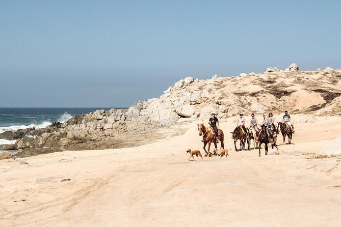 Horseback Riding Tour in Cabo San Lucas - Safety, skill level, and family fit