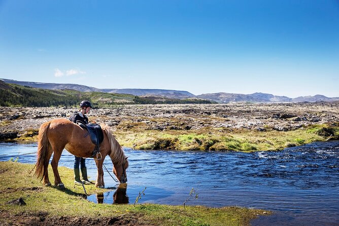 Horseback Riding Tour in Iceland - Key points to know before you book