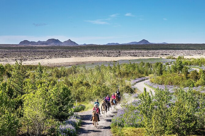 Horseback Riding Tour in Iceland - What happens at Ishestar Horse Riding Centre