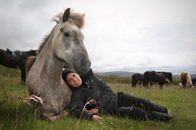 Horseback Riding Tour in Iceland - Getting to know the Icelandic horse
