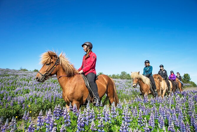 Horseback Riding Tour in Iceland - How the 50-minute duration affects the value