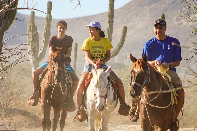 Horseback Riding Tour in Los Cabos - Key points before you book