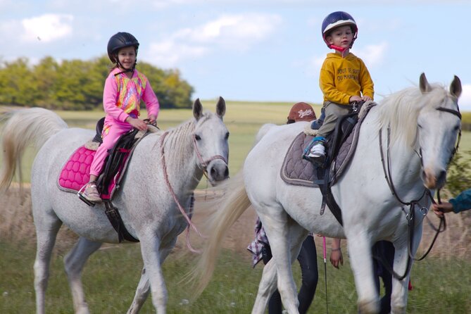 horseback riding tour in Prague - Meeting Czech Movie Horses Near Mníšek pod Brdy