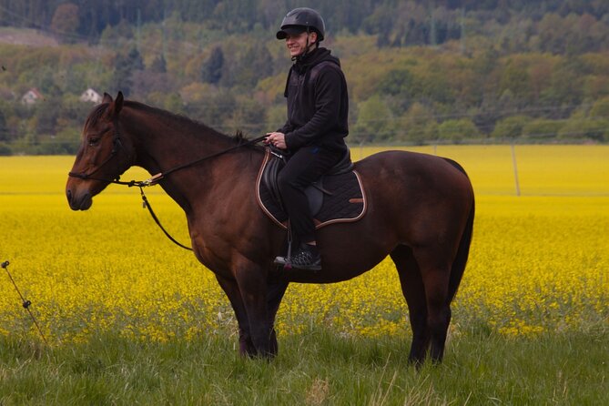 horseback riding tour in Prague - What the One-Hour Ride Is Really Like
