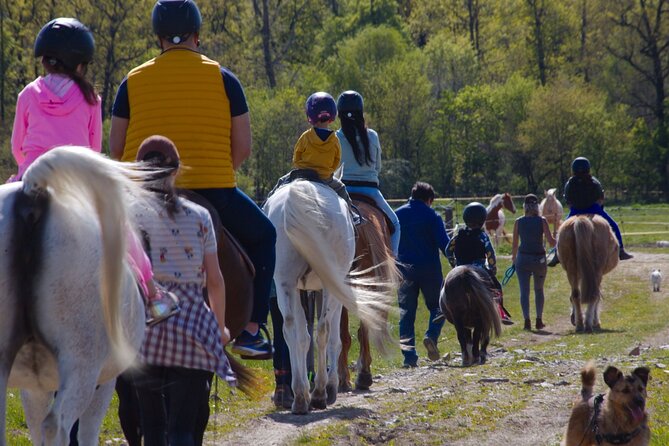 horseback riding tour in Prague - The Journey From Prague Is Part of the Decision