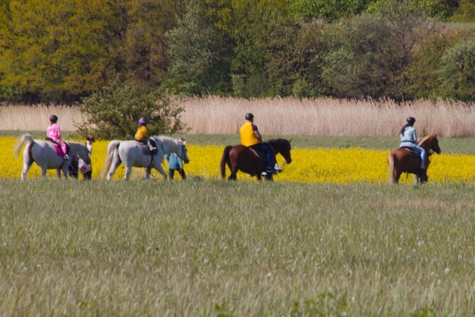 horseback riding tour in Prague - Why First-Time Riders May Feel at Ease