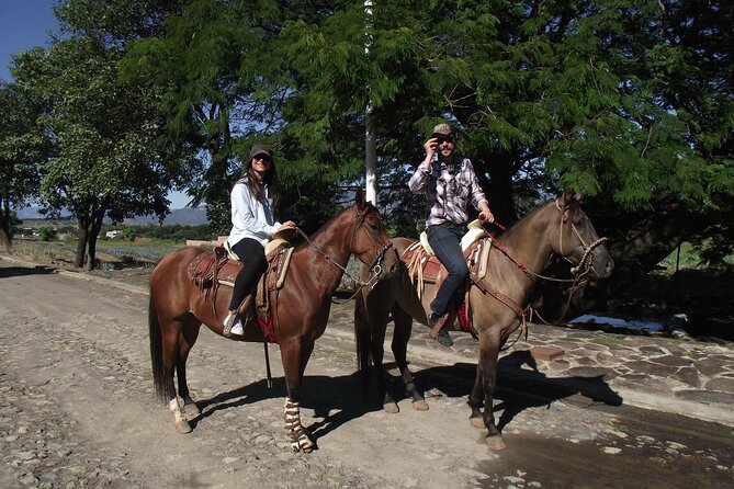 Horseback Riding Tour in The Agave Field with Lunch - What the horseback portion feels like