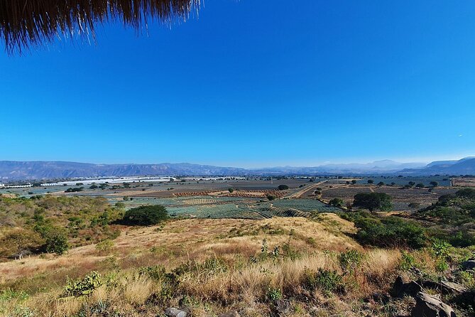 Horseback Riding Tour in The Agave Field with Lunch - Lunch below ground at La Taberna del Cofrade