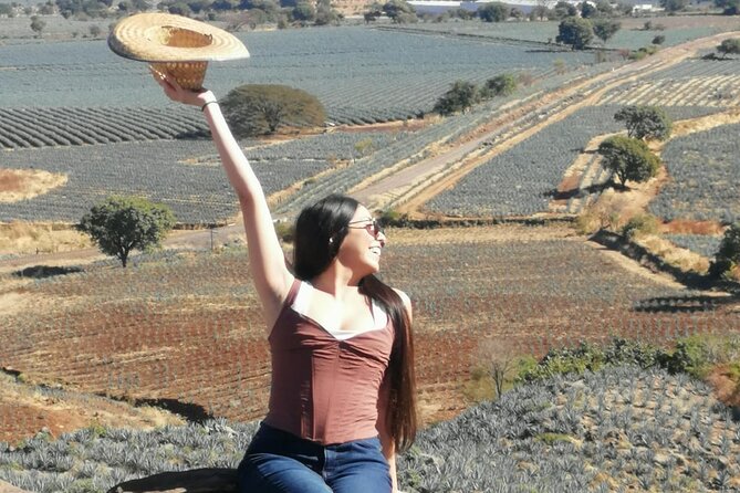 Horseback Riding Tour in The Agave Field with Lunch - Practical details that can affect your day
