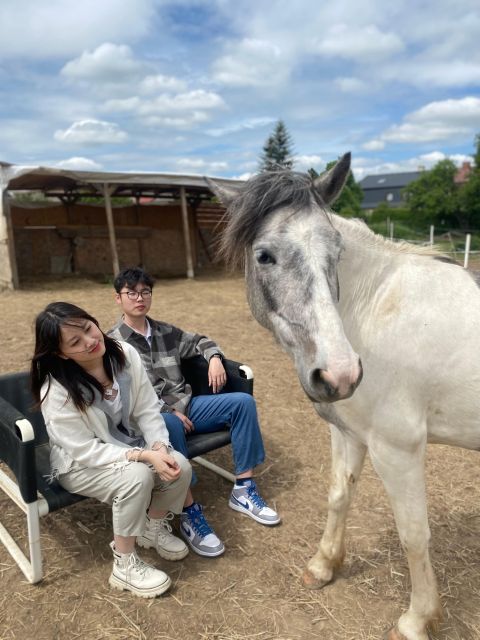 Horseback riding tour near Prague - What makes this ride different