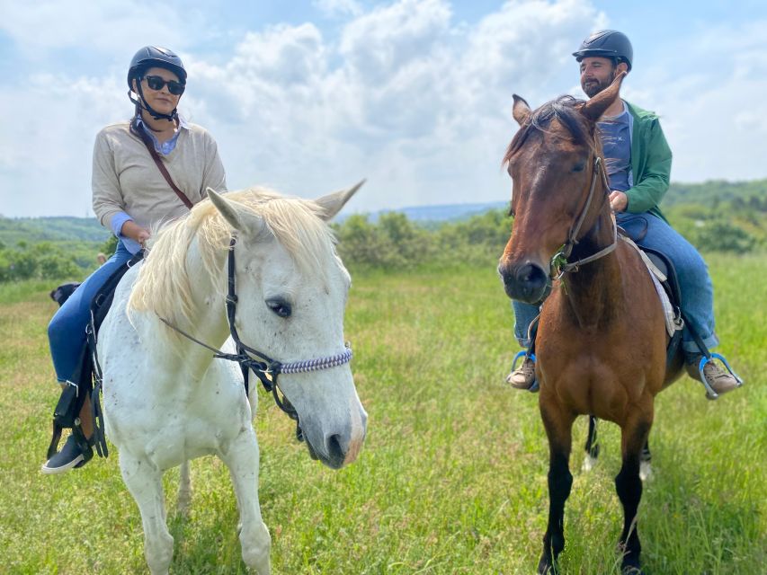 Horseback riding tour near Prague - Is $92 good value?